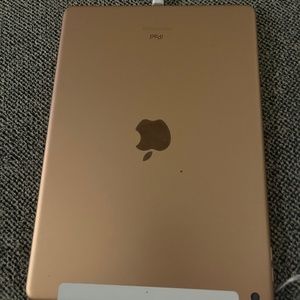 iPad rose gold